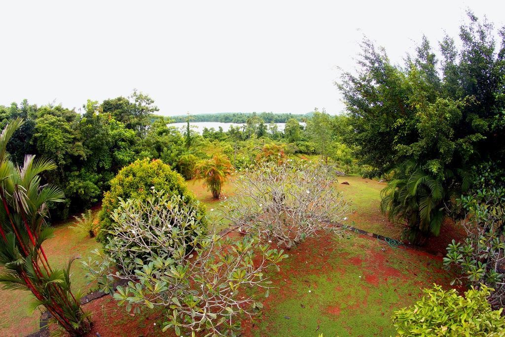 Sobaco Nature Resort Bentota Exterior foto